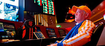 Вход на официальный сайт Casino Calibry
